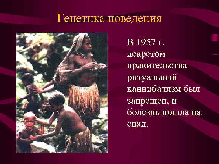 Генетика поведения В 1957 г. декретом правительства ритуальный каннибализм был запрещен, и болезнь пошла
