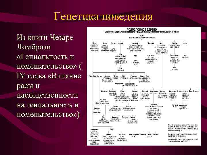 Генетика поведения Из книги Чезаре Ломброзо «Гениальность и помешательство» ( IY глава «Влияние расы