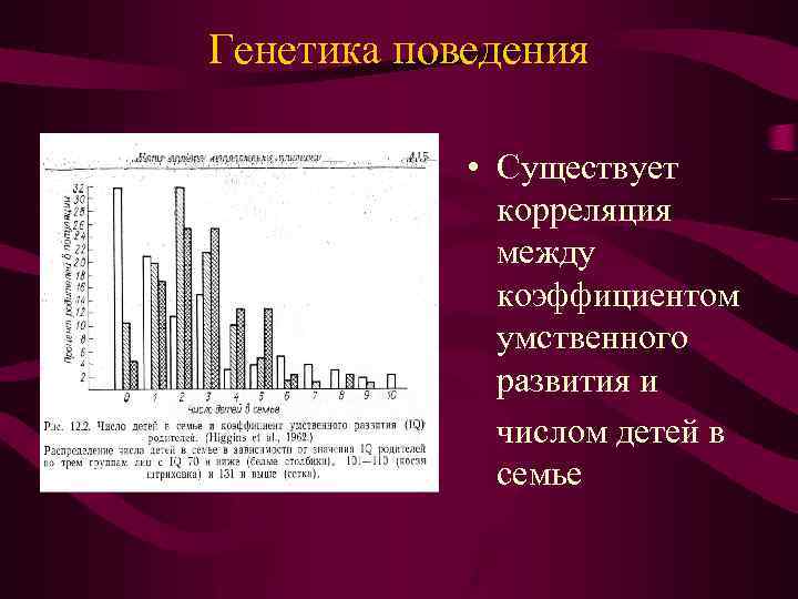 Генетика поведения • Существует корреляция между коэффициентом умственного развития и числом детей в семье