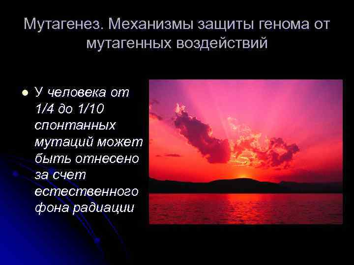 Мутагенез. Механизмы защиты генома от мутагенных воздействий l У человека от 1/4 до 1/10