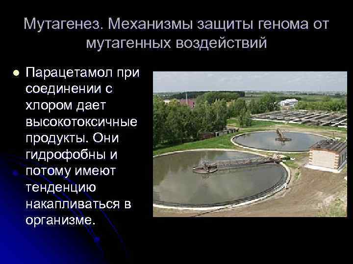 Мутагенез. Механизмы защиты генома от мутагенных воздействий l Парацетамол при соединении с хлором дает