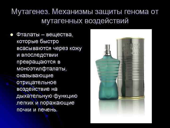 Мутагенез. Механизмы защиты генома от мутагенных воздействий l Фталаты – вещества, которые быстро всасываются