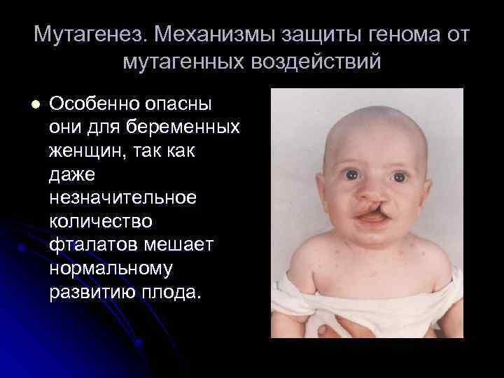 Мутагенез. Механизмы защиты генома от мутагенных воздействий l Особенно опасны они для беременных женщин,