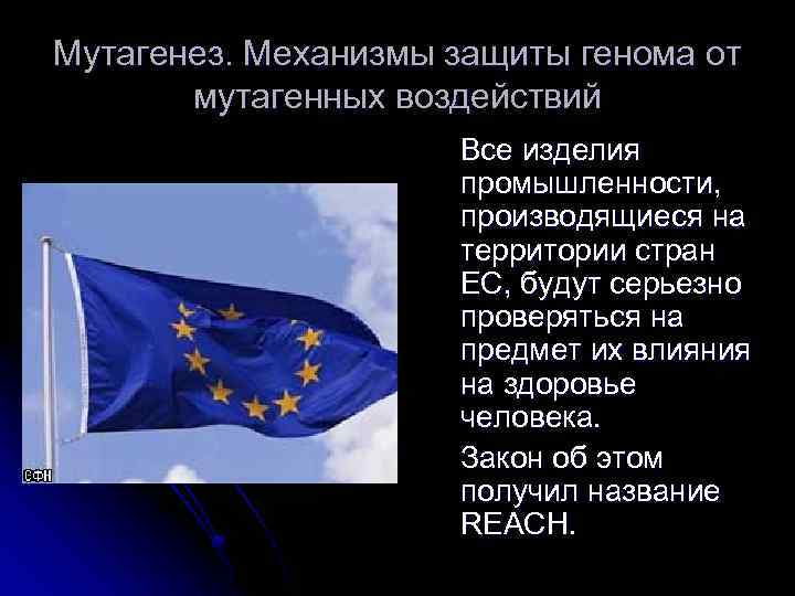 Мутагенез. Механизмы защиты генома от мутагенных воздействий Все изделия промышленности, производящиеся на территории стран
