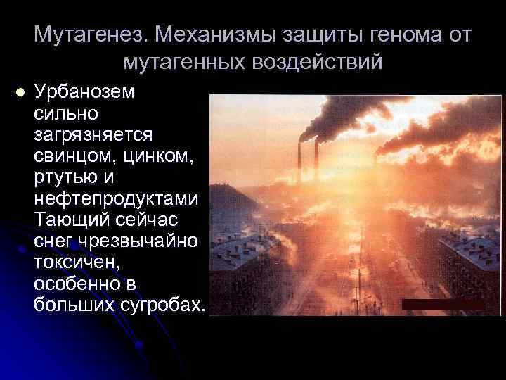 Мутагенез. Механизмы защиты генома от мутагенных воздействий l Урбанозем сильно загрязняется свинцом, цинком, ртутью