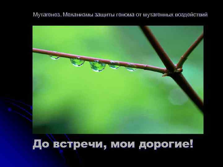 Мутагенез. Механизмы защиты генома от мутагенных воздействий До встречи, мои дорогие! 