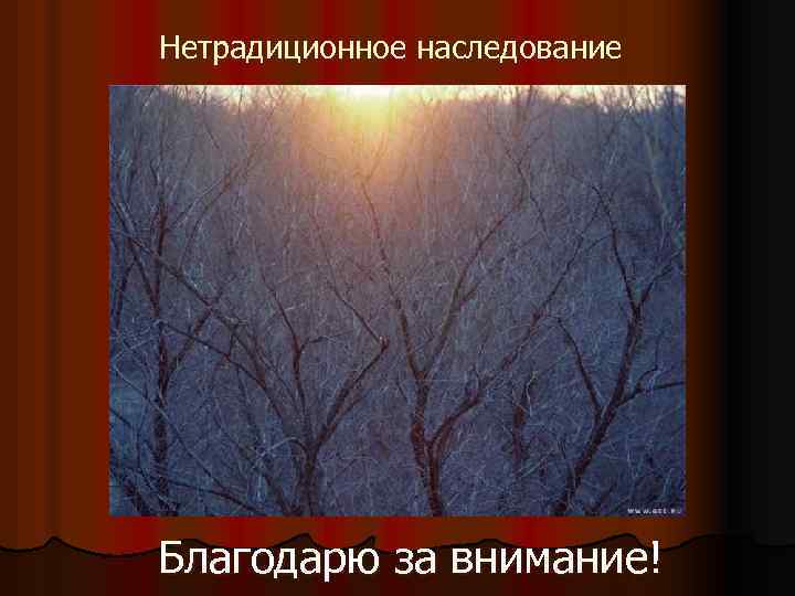 Нетрадиционное наследование Благодарю за внимание! 