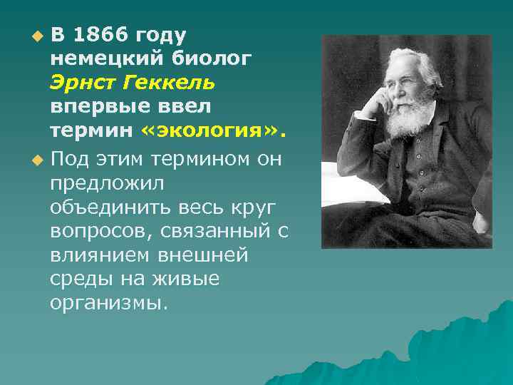 Кто ввел в науку термин экологическая система