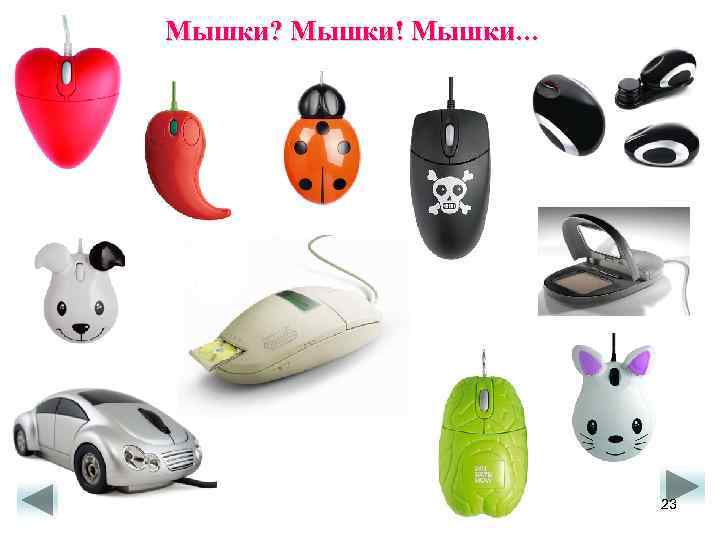 Мышки? Мышки! Мышки… 23 