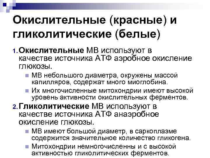 Окислительные (красные) и гликолитические (белые) 1. Окислительные МВ используют в качестве источника АТФ аэробное