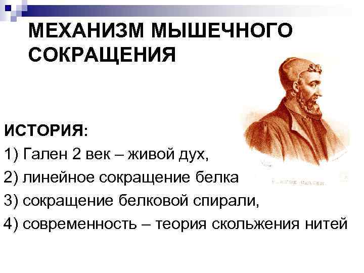 МЕХАНИЗМ МЫШЕЧНОГО СОКРАЩЕНИЯ ИСТОРИЯ: 1) Гален 2 век – живой дух, 2) линейное сокращение