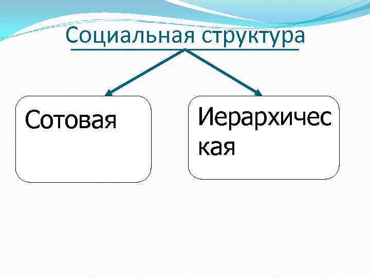 Социальная структура Сотовая Иерархичес кая 