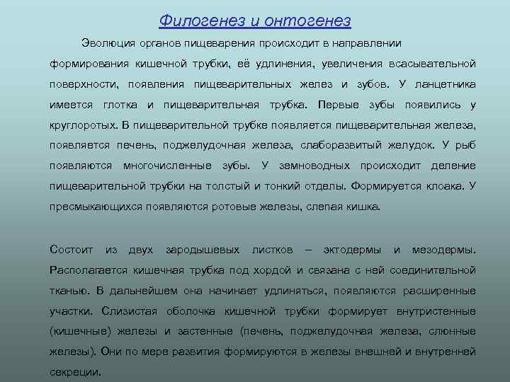 Филогенез и онтогенез Эволюция органов пищеварения происходит в направлении формирования кишечной трубки, её удлинения,