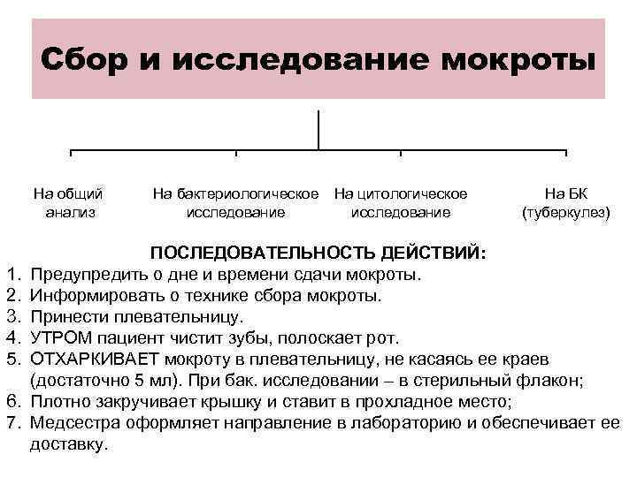 Сбор и исследование мокроты На общий анализ 1. 2. 3. 4. 5. 6. 7.