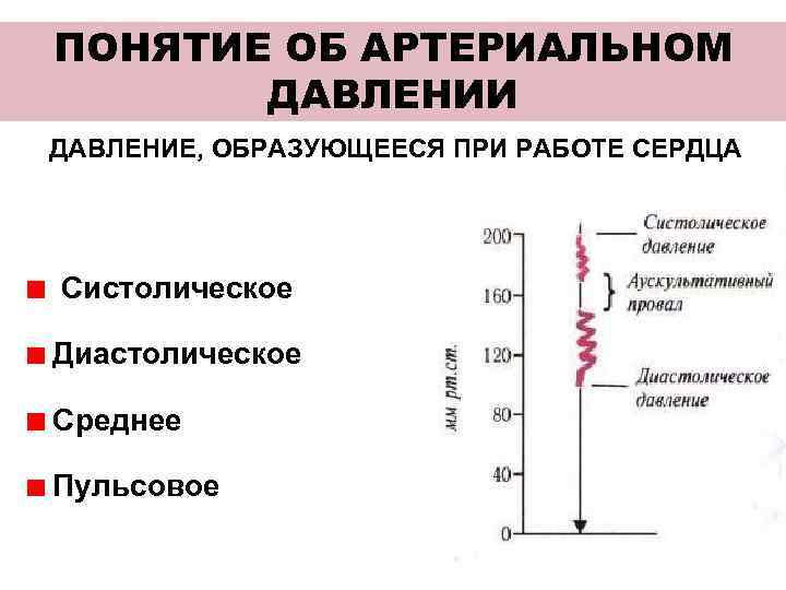 Диастолическая перегрузка