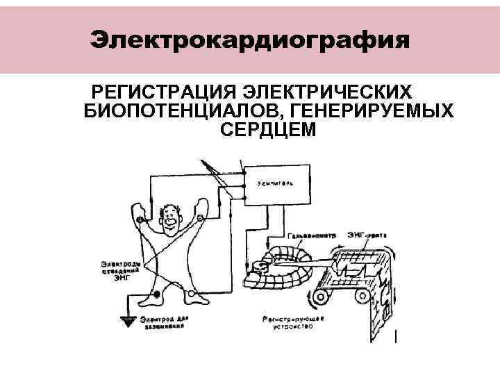 Электрокардиография РЕГИСТРАЦИЯ ЭЛЕКТРИЧЕСКИХ БИОПОТЕНЦИАЛОВ, ГЕНЕРИРУЕМЫХ СЕРДЦЕМ 