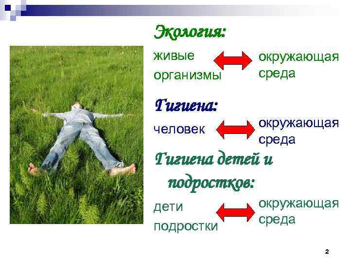 Экология: живые организмы Гигиена: человек окружающая среда Гигиена детей и подростков: дети подростки окружающая