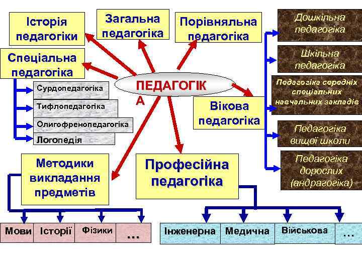 Історія педагогіки Загальна педагогіка Порівняльна педагогіка Шкільна педагогіка Спеціальна педагогіка ПЕДАГОГІК А Вікова Сурдопедагогіка