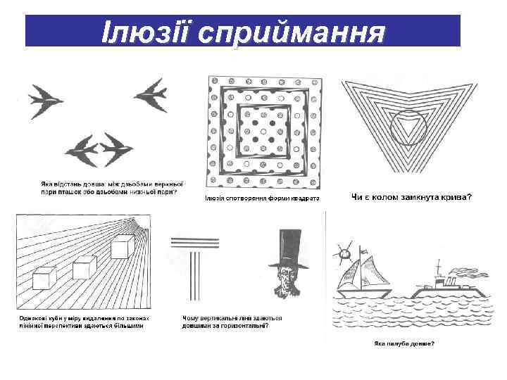 Ілюзії сприймання 