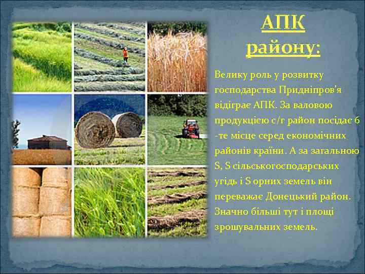 АПК району: Велику роль у розвитку господарства Придніпров'я відіграє АПК. За валовою продукцією с/г