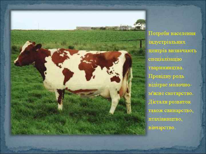 Потреби населення індустріальних центрів визначають спеціалізацію тваринництва. Провідну роль відіграє молочном'ясне скотарство. Дістали розвиток