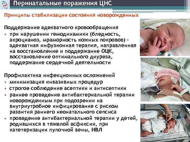 Перинатальные поражения ЦНС Принципы стабилизации состояния новорожденных Поддержание адекватного кровообращения • при нарушении гемодинамики