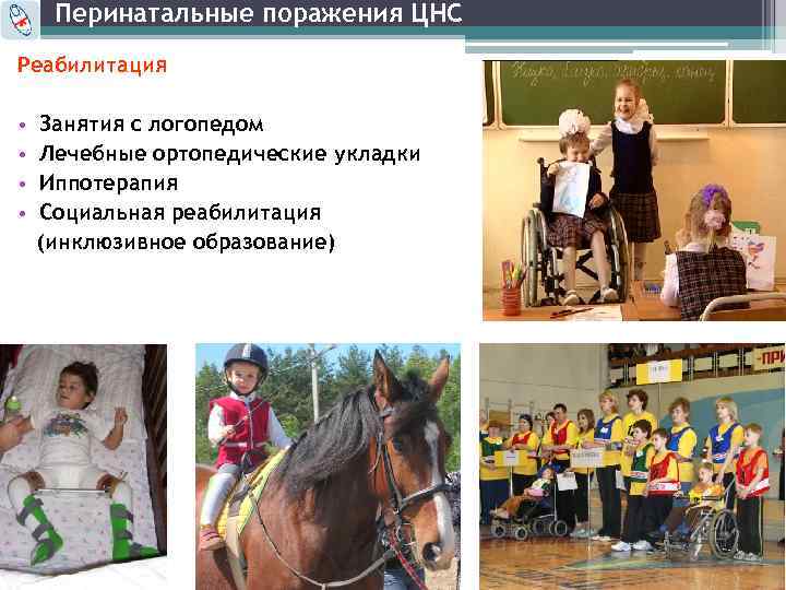 Перинатальные поражения ЦНС Реабилитация • • Занятия с логопедом Лечебные ортопедические укладки Иппотерапия Социальная