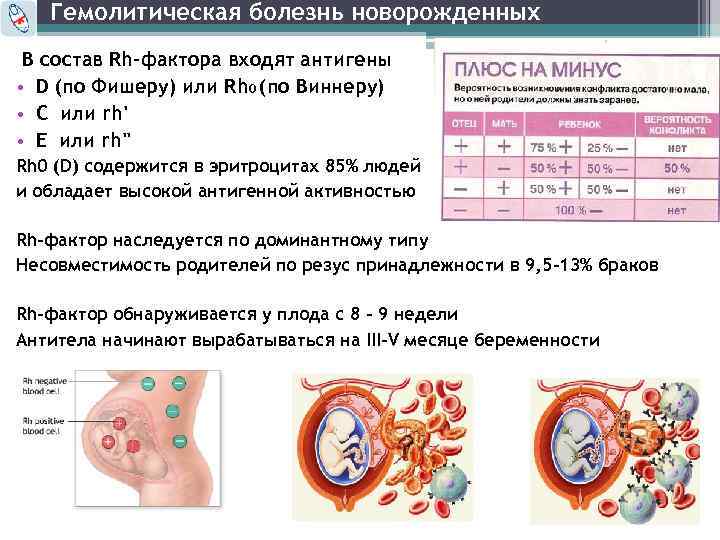 Гемолитическая болезнь новорожденных В состав Rh-фактора входят антигены • D (по Фишеру) или Rh