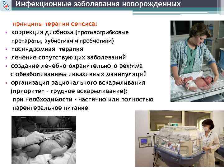 Инфекционные заболевания новорожденных • • • принципы терапии сепсиса: коррекция дисбиоза (противогрибковые препараты, эубиотики