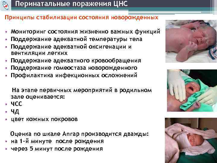 Перинатальные поражения ЦНС Принципы стабилизации состояния новорожденных • Мониторинг состояния жизненно важных функций •