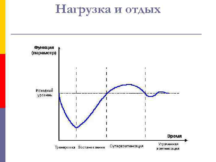 Нагрузка и отдых 