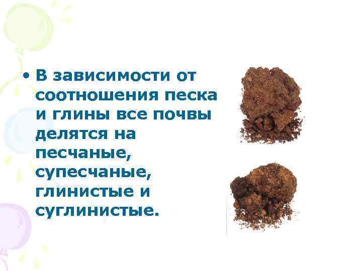  • В зависимости от соотношения песка и глины все почвы делятся на песчаные,