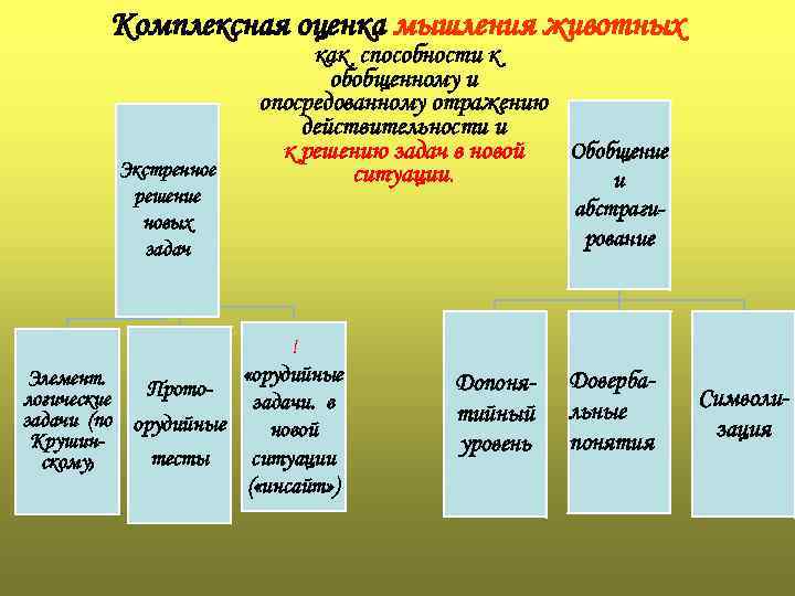 Комплексная оценка мышления животных Экстренное решение новых задач как способности к обобщенному и опосредованному