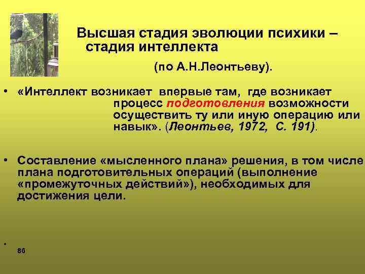 Высшая стадия эволюции психики – стадия интеллекта (по А. Н. Леонтьеву). • «Интеллект возникает