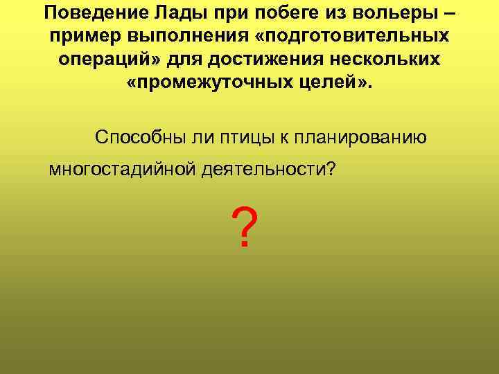 Поведение Лады при побеге из вольеры – пример выполнения «подготовительных операций» для достижения нескольких