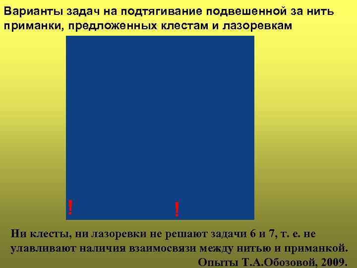 Варианты задач на подтягивание подвешенной за нить приманки, предложенных клестам и лазоревкам ! !