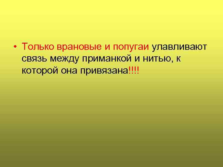  • Только врановые и попугаи улавливают связь между приманкой и нитью, к которой