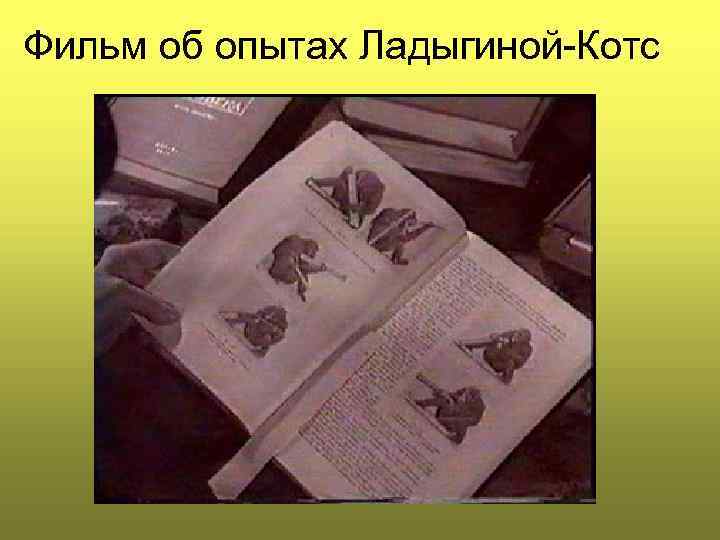 Фильм об опытах Ладыгиной-Котс 