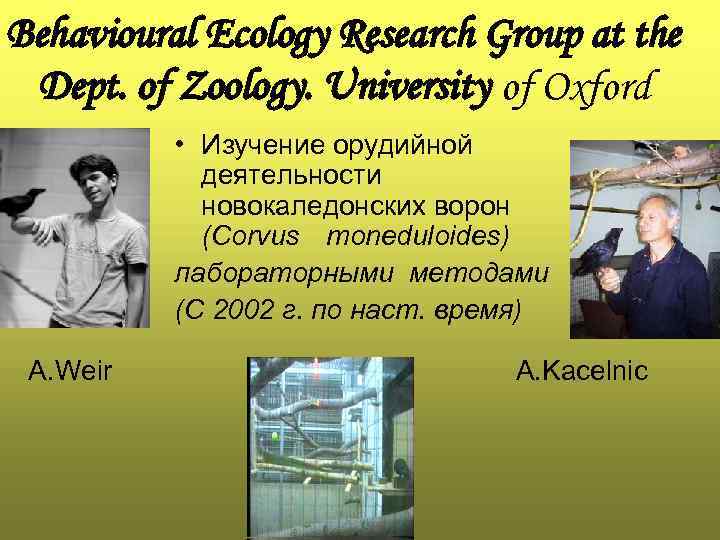 Behavioural Ecology Research Group at the Dept. of Zoology. University of Oxford • Изучение