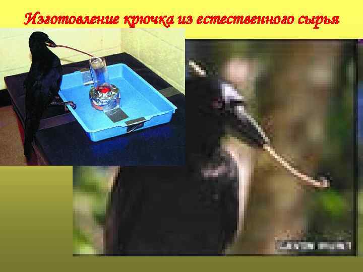 Изготовление крючка из естественного сырья 