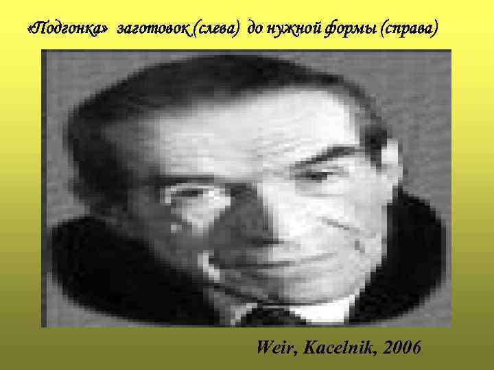  «Подгонка» заготовок (слева) до нужной формы (справа) Weir, Kacelnik, 2006 