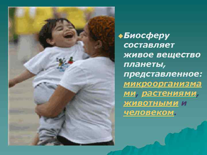 u. Биосферу составляет живое вещество планеты, представленное: микроорганизма ми, растениями, животными и человеком. микроорганизмы