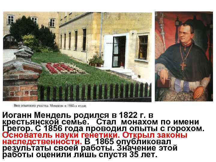 Иоганн Мендель родился в 1822 г. в крестьянской семье. Стал монахом по имени Грегор.