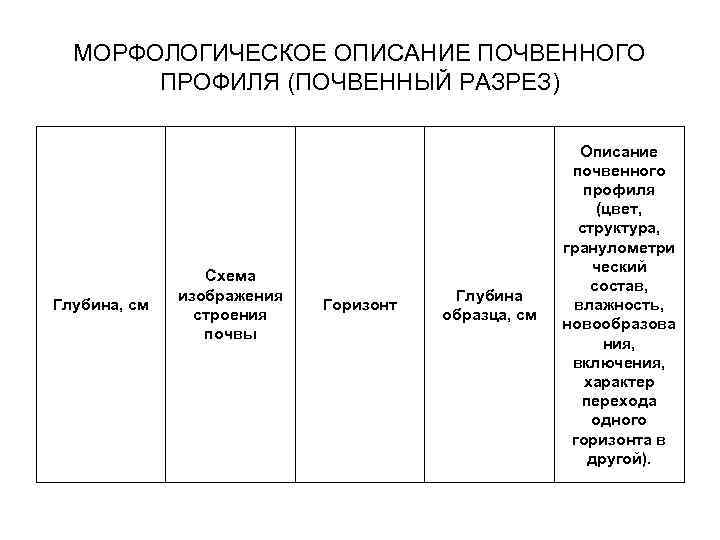 Морфологическое описание системы