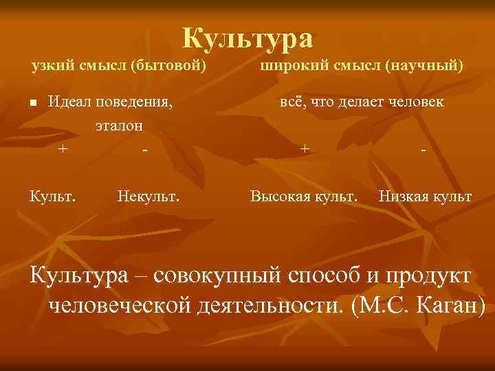 Культура узкий смысл (бытовой) n Идеал поведения, эталон + - Культ. Некульт. широкий смысл