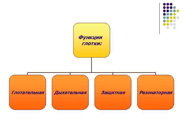 Функции глотки: Глотательная Дыхательная Защитная Резонаторная 