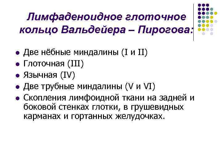 Лимфаденоидное глоточное кольцо Вальдейера – Пирогова: l l l Две нёбные миндалины (I и