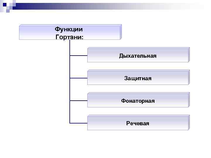 Функции Гортани: Дыхательная Защитная Фонаторная Речевая 
