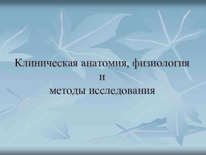 Клиническая анатомия, физиология и методы исследования 