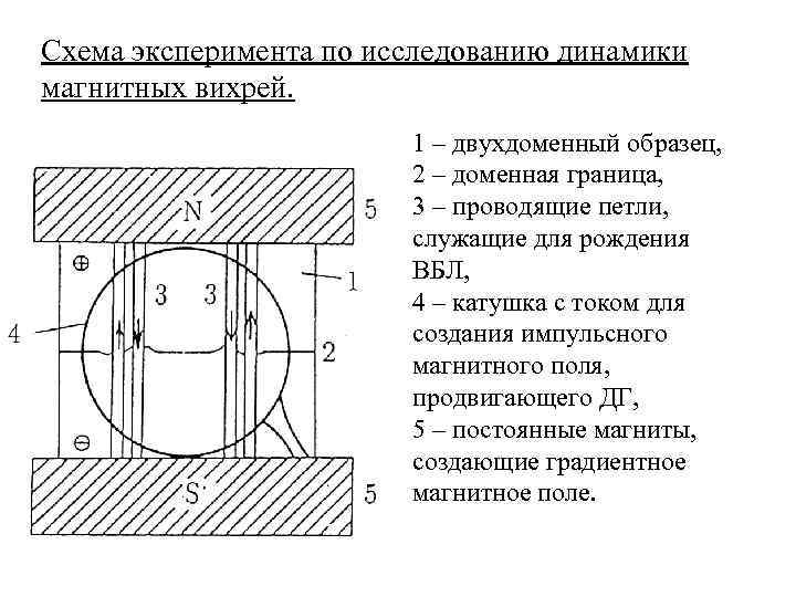 Схема эксперимента по исследованию динамики магнитных вихрей. 1 – двухдоменный образец, 2 – доменная